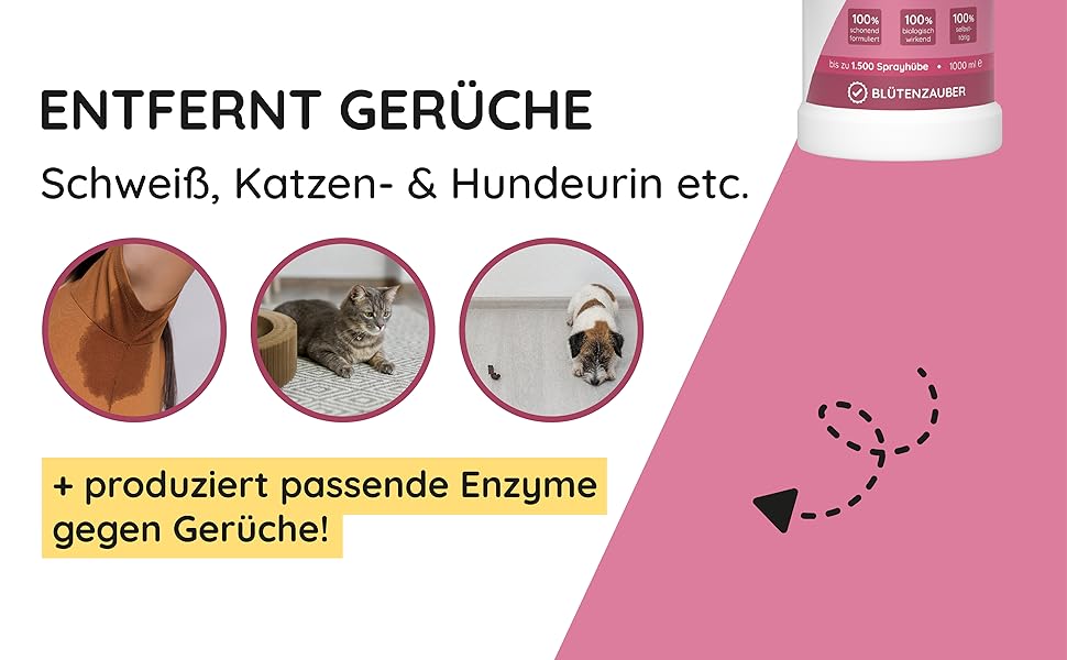 hauszauber® - Enzymreiniger [STARKER GERUCHSENTFERNER] 1000 ml - Gegen  Katzenurin, Nikotin, Tiergerüche etc. - Schlechte Gerüche aus Auto &  Teppich entfernen - Geruchsentferner - Blütenzauber : : Haustier