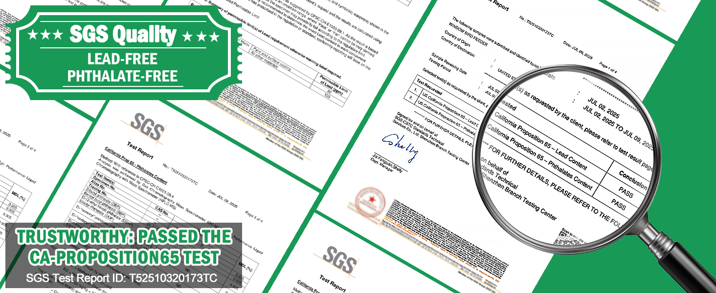 High quality bird feeder for window