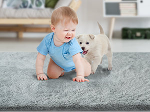 Modern Fluffy Shag Rugs for Living Room Non Slip Teens Dorm Light Grey Floor Carpets(5 x 8)  
Fluffy Grey Shaggy Rugs fo Ca77cf71 8e0e 4d58 Ac68 3582752920ef. CR0,0,300,225 PT0 SX300 V1