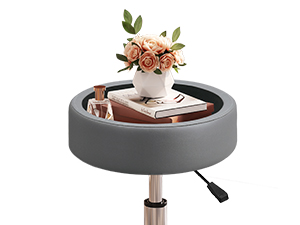 Vanity Stool with Storage