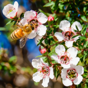 Small manufacture image 2