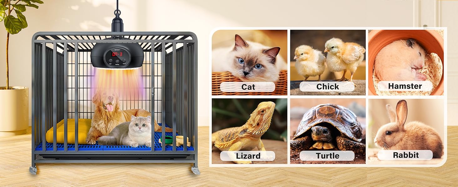 chicken heater for coop