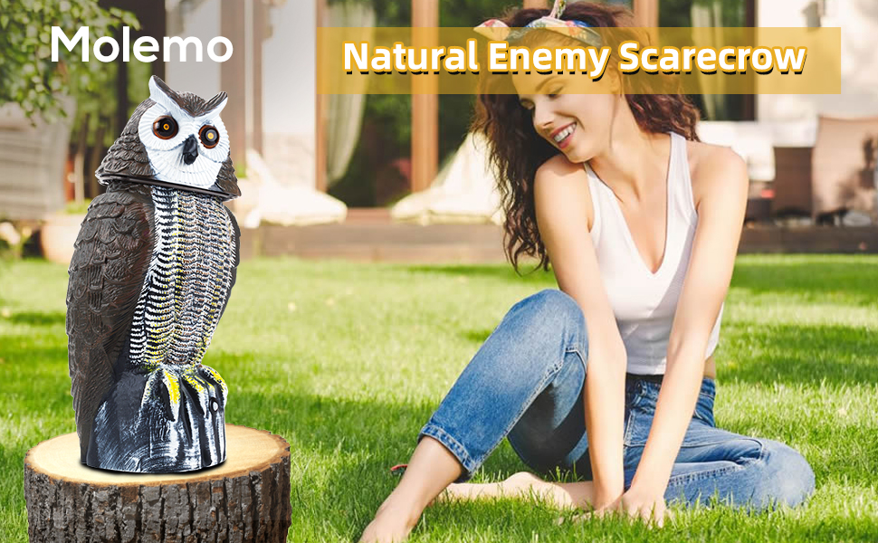 molemo Solar Bird Repellent, Owl Decoy Bird Deterrent