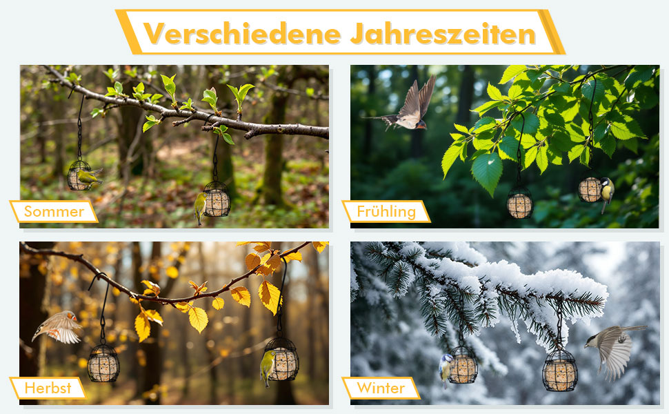 Vierteiliges Bild, das Äste mit hängenden Laternen im Laufe der Jahreszeiten zeigt. Tafeln mit den Bezeichnungen „Sommer“, „Frühling“, „Herbst“ und „Winter“ zeigen saisonale Veränderungen der Blätter