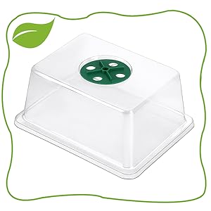 seed starter tray