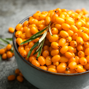seabuckthorn-berry-origin