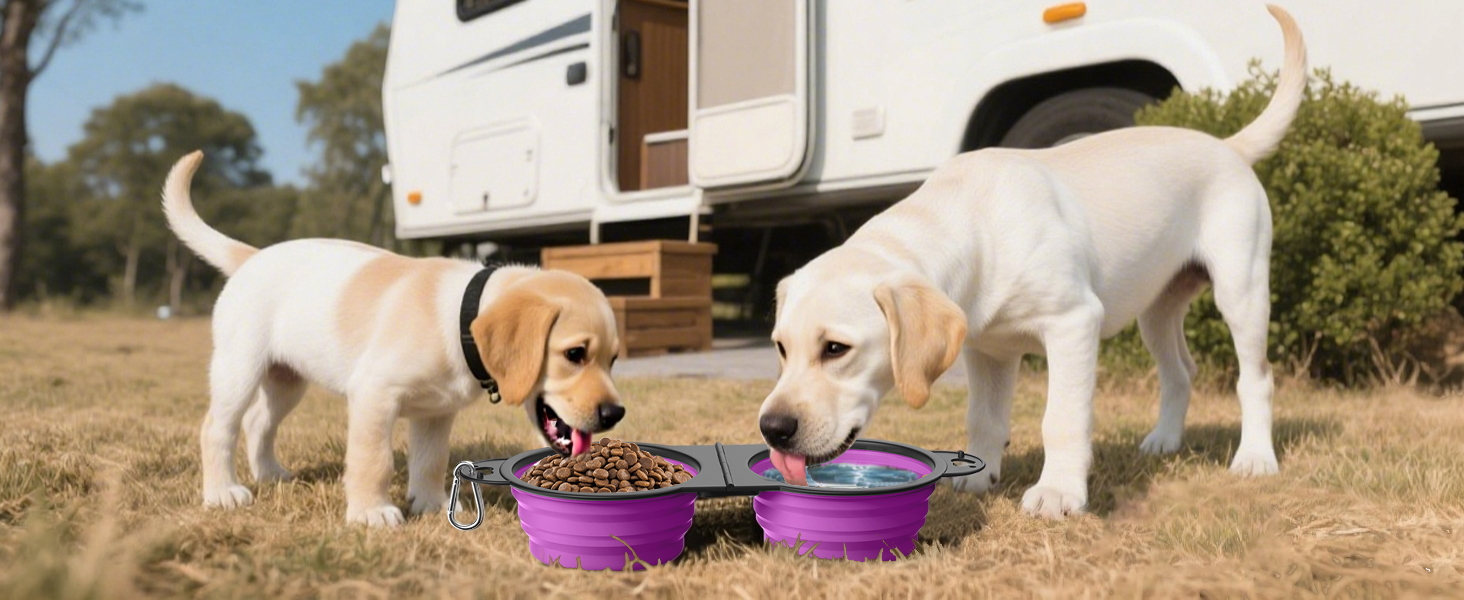 portable foldable water feeder food bowl for walking traveling home use