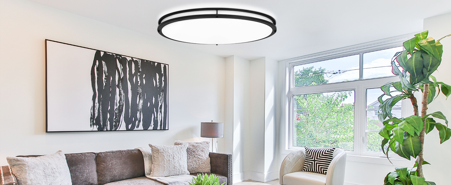 Flush Mount Ceiling Light