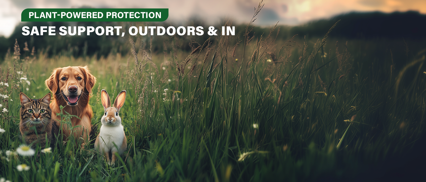 natural flea tick prevenetion for dogs cats control collar drops repellent support large small