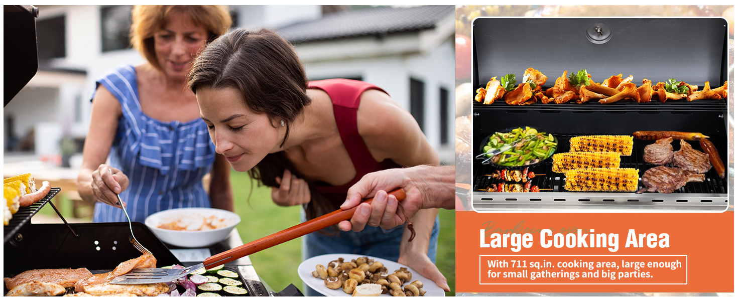 6 Burner BBQ Propane Gas Grill