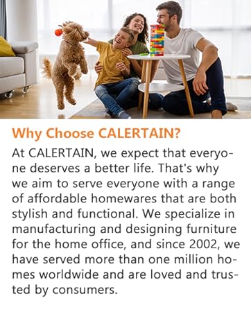 CALERTAIN Home Office Funiture