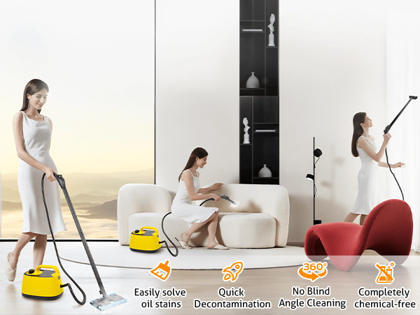  steam cleaner for car detailing