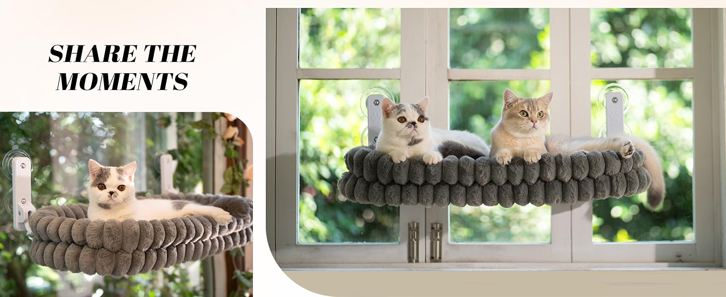 cat window perch