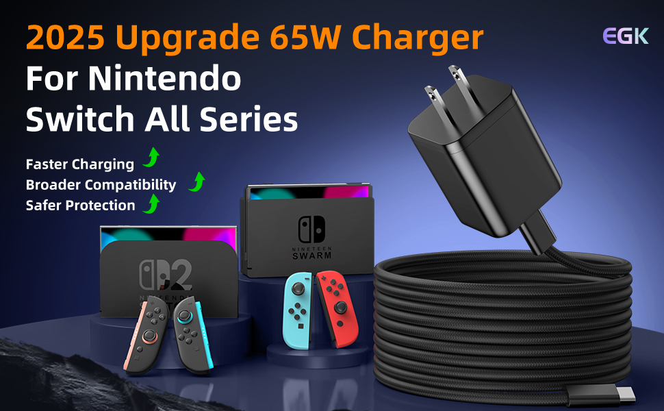 Amazon.com: 65W Charger for Nintendo Switch (All Series) + 10FT