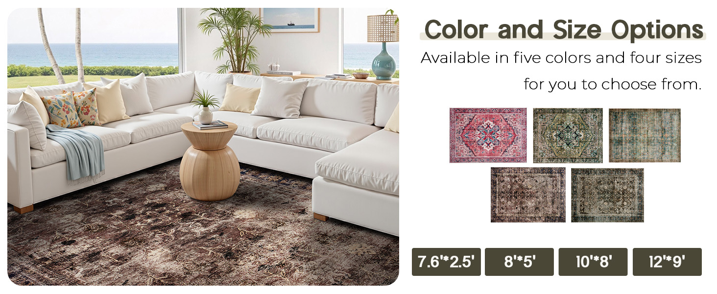 Color and Size Options