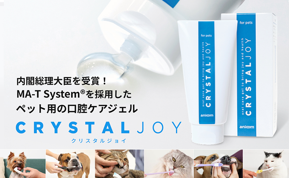 クリスタルジョイ　CRYSTAL JOY 歯磨き粉 歯磨きジェル　12個 CRYSTAL JOY（クリスタルジョイ） : エス・ティー・ワールド
