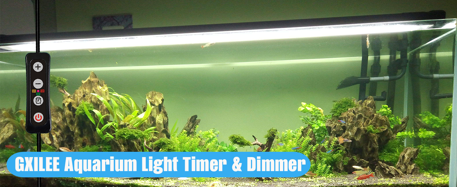 timer for aquarium lights