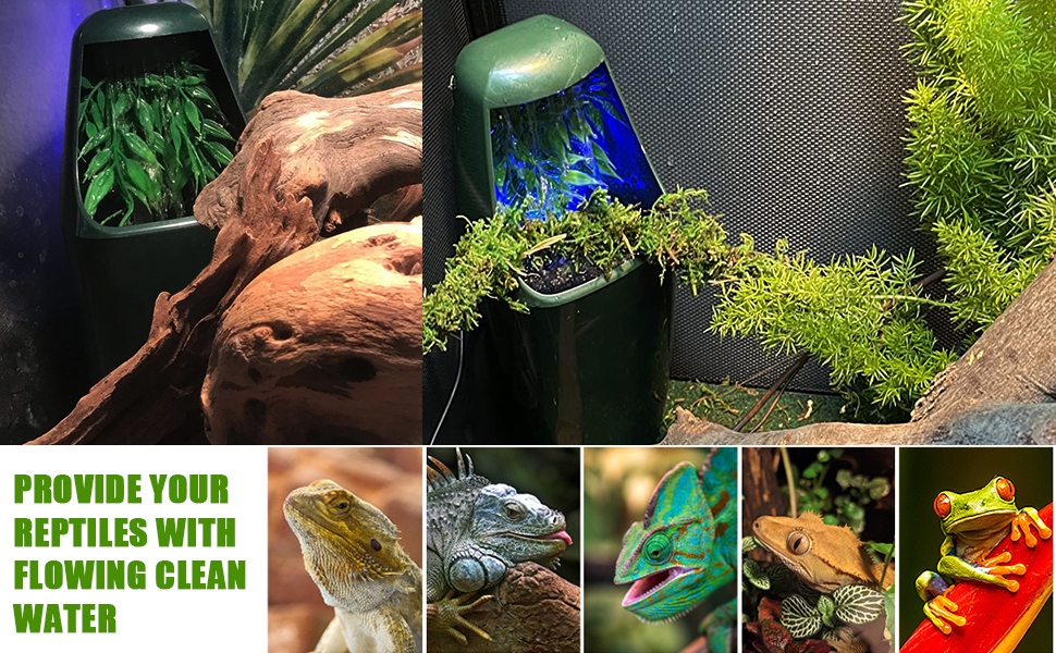 Automatic Reptile Dripper Reptile Water Dispenser, Reptile
