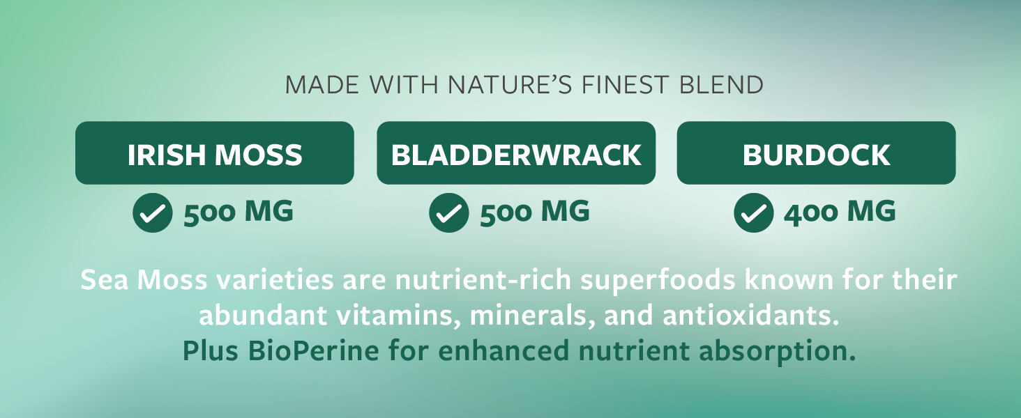 irish moss bladderwrack burdock