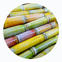 Small manufacture image 8