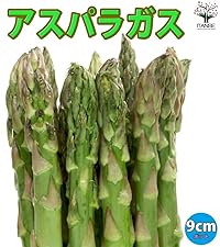 とも様　アスパラガス苗×2 アスパラガス苗128穴】太宝早生_360本保証 | 株式会社PsEco