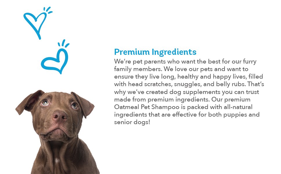 Dog Shampoo Oatmeal Shampoo for Dogs by Ready Pet Go