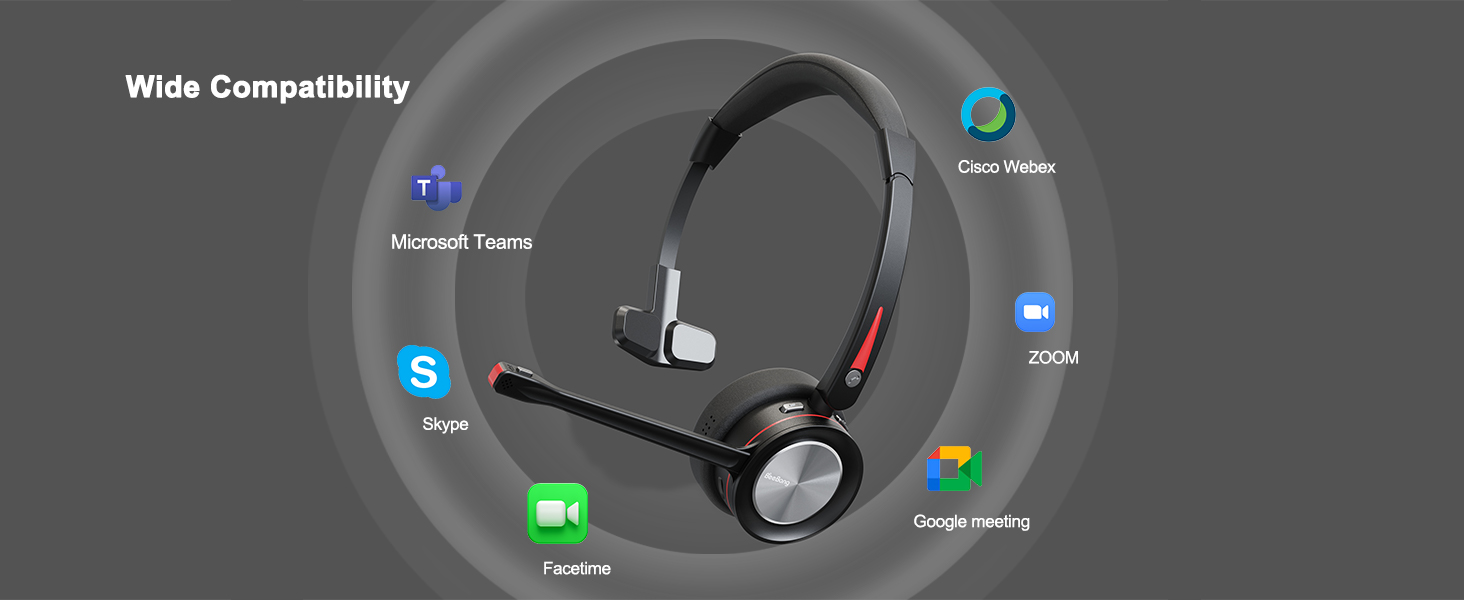 headset with microphone BNG890
