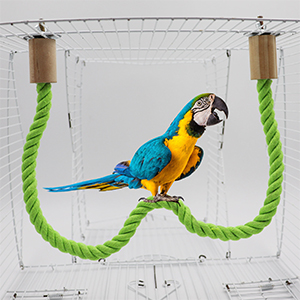 Soporte de cuerda para pájaros