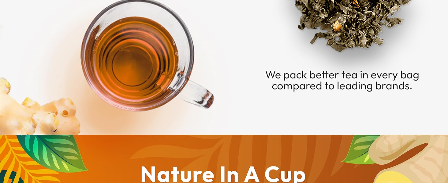 ginger peppermint probiotic tea bags mint organic nausea relief chamomile lemon probiotic gengibre