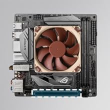 noctua