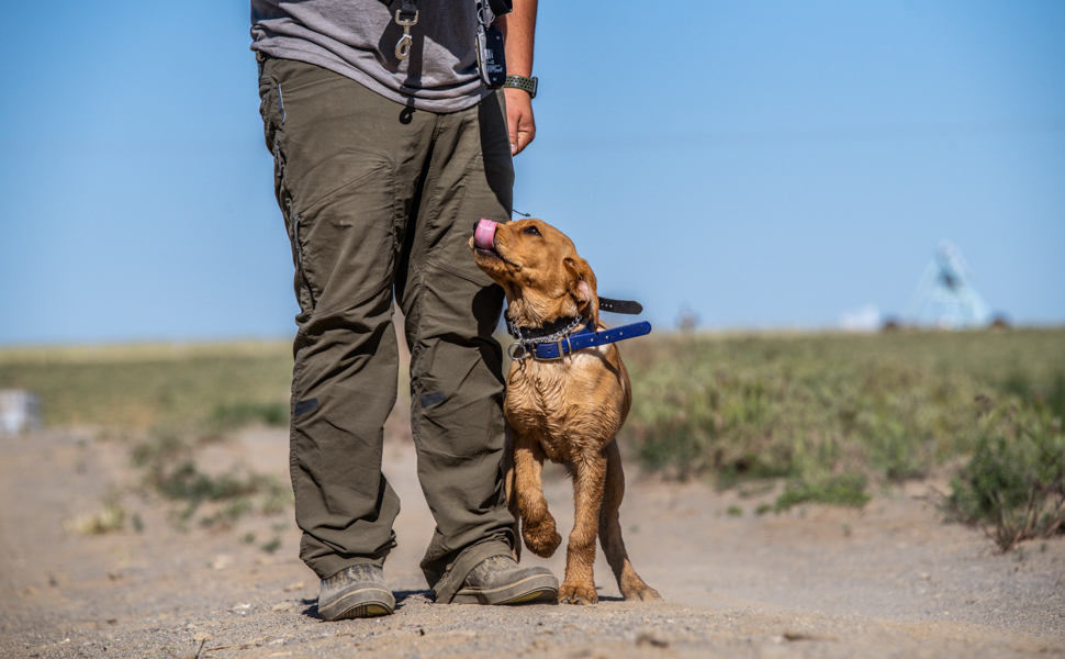 Mid Image, Mens Camp Boots, dog Train