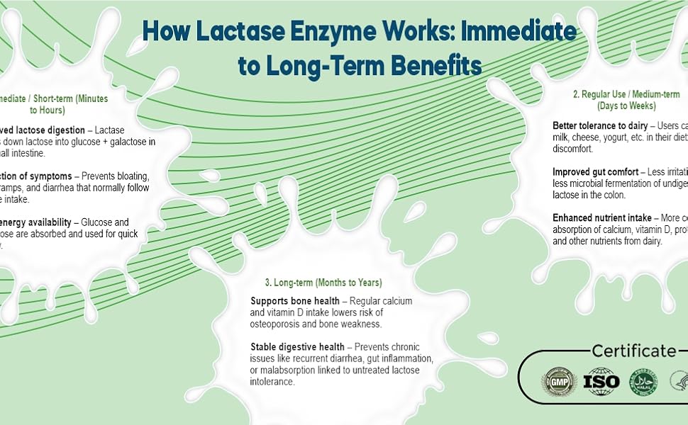 Large manufacture image 6