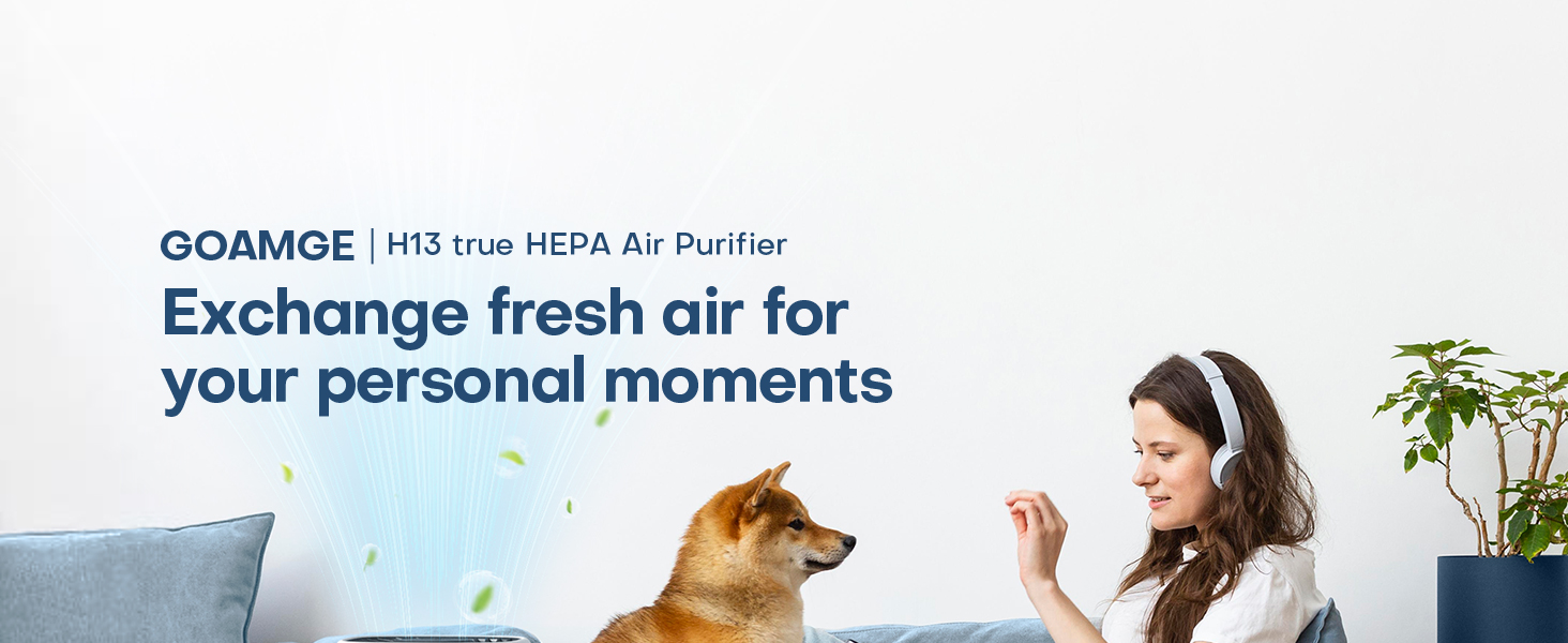 air purifier