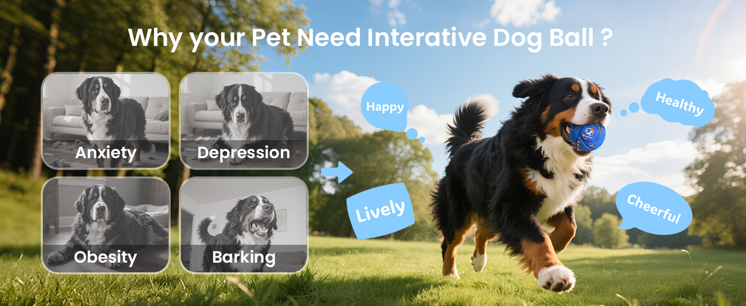 Interactive Dog Toy Ball