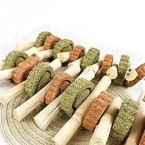 Bunny Chew Toys for Teeth