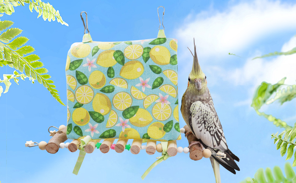 Oooct Bird Parrot Hammock with Stand Perch, Bird Swing