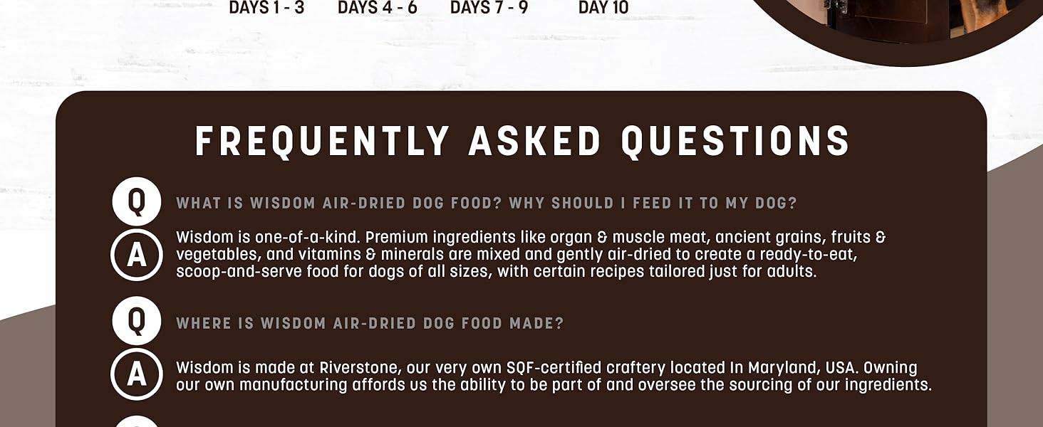 Wisdom Food V2