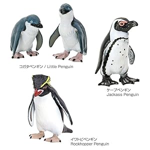 ペンギン様 動物 生物 立体図鑑 ペンギンボックス / カロラータ オンライン