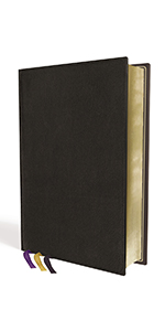 (未使用･未開封品)　Complete Bible Box Set [Import anglais] sdt40b8 Amazon.co.jp: Complete Bible Box Set [Import anglais] : DVD