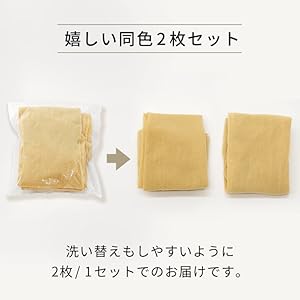 Aquadoll Wigsストッキングネット（2のセット）