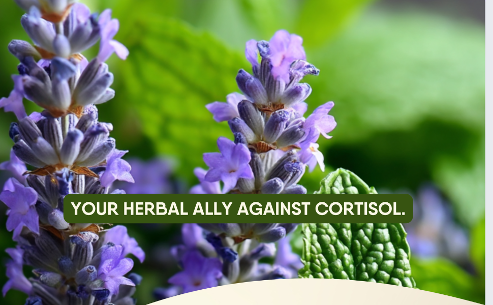 keep calm after hard day herbal tea valerian root  lavender peppermint tea