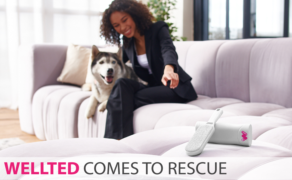 cat hair remover pet hair remover for couch dog hair brush pet brush carpet brush cat hair brush