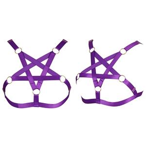 Harness Bra+Purple