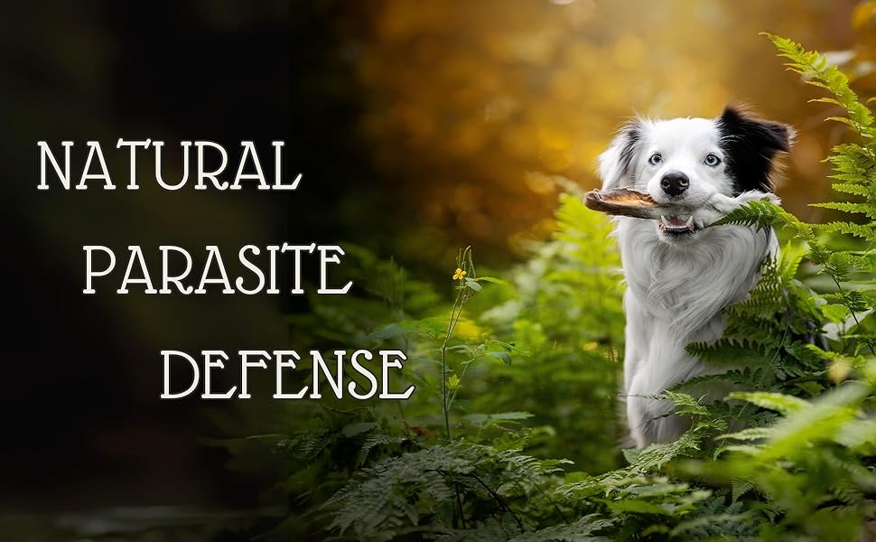 Natural parahttps://homeandgardentrends.co.uk/ defense