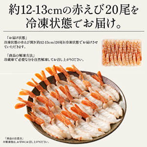 赤刺身品 adidas ZX 700 Red - S79188 Size 6.5- 5.5 (ONE SIZE