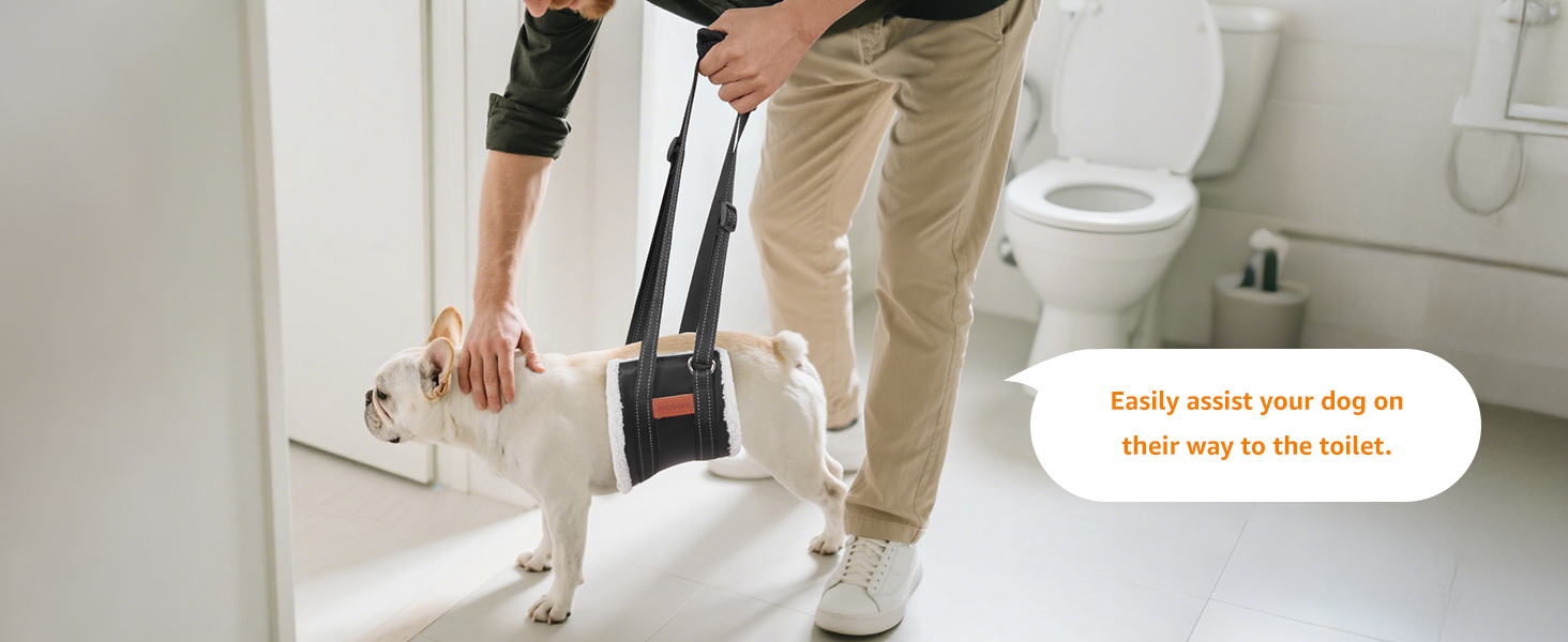 sling for dogs