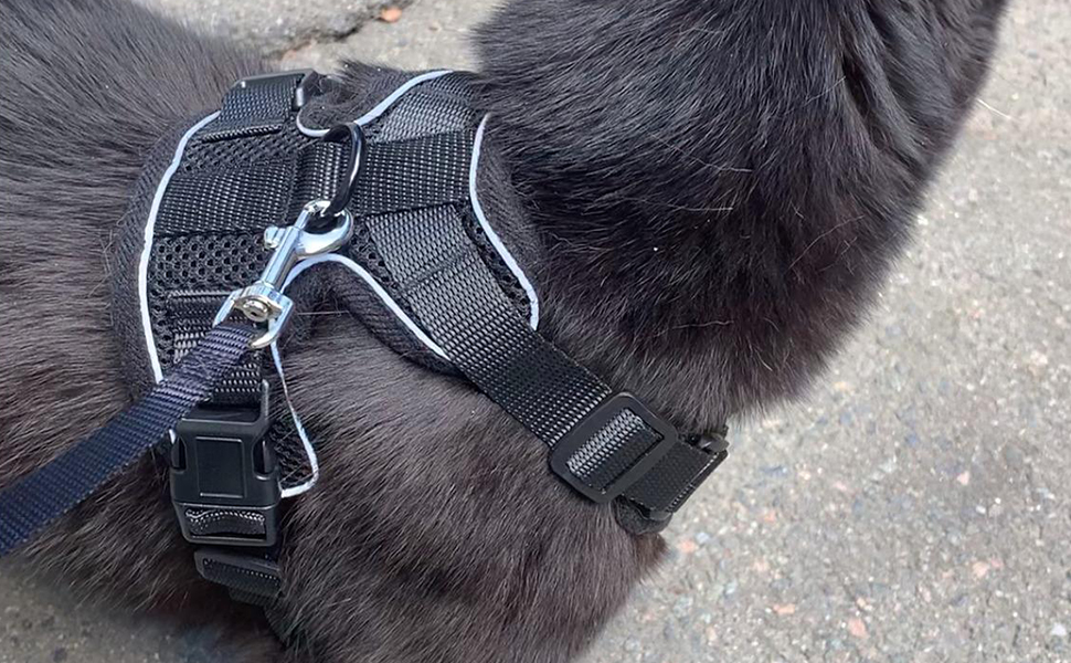 Pet Supplies Pups & Care Cat Harness and Leash Set, Escape Proof