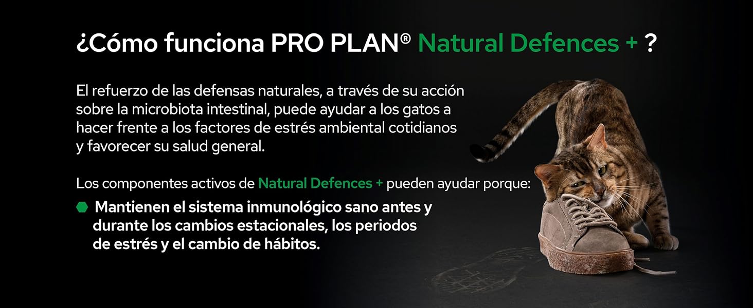 +suplementos para mascotas +alimento complementario +perro +gato