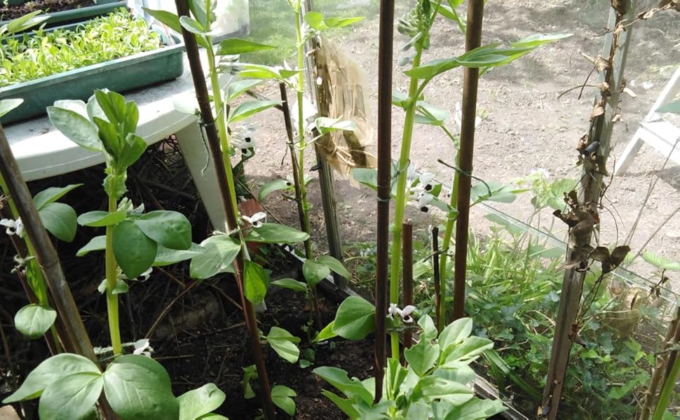 Planter Nursery Pots