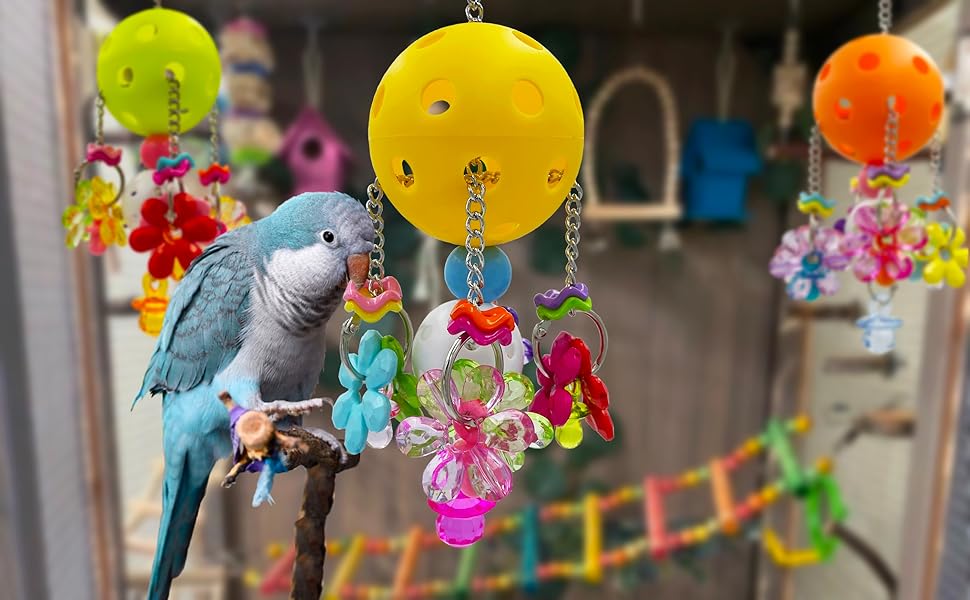 bird toys